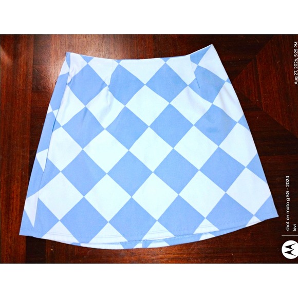 Altar'd State Dresses & Skirts - Altered State Blue White Check Mini Skirt M Alice in Avidor Zipper Accent